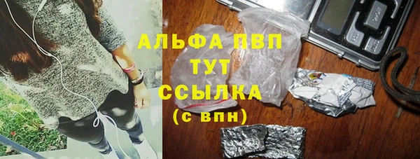 сатива Богородицк
