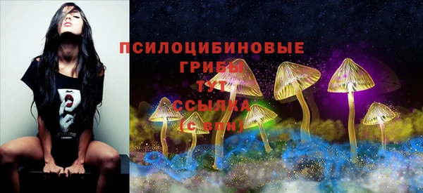 дживик Беломорск