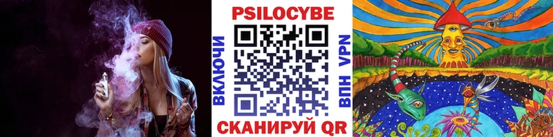 Псилоцибиновые грибы мухоморы  цена   Богучар 